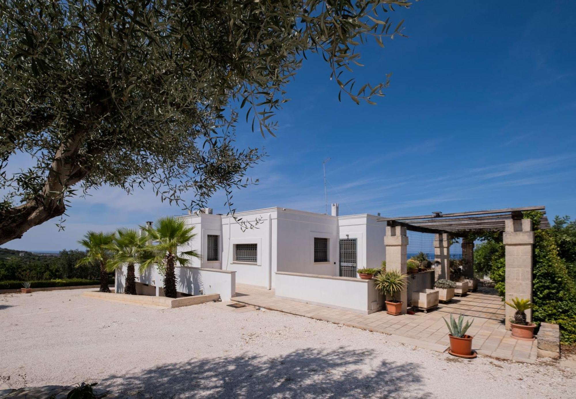Il Carrubo Villa Polignano a Mare Dış mekan fotoğraf